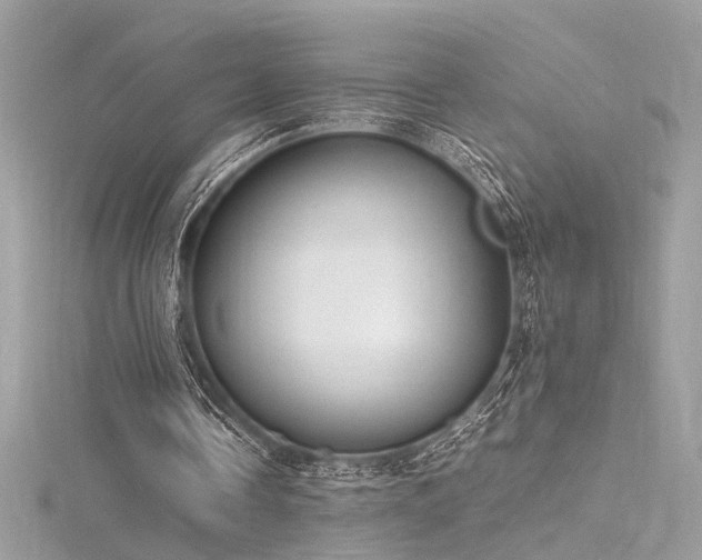 X0000116290338200911301423