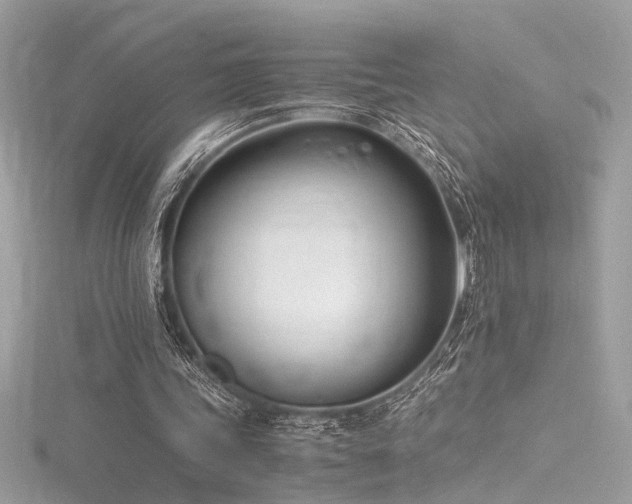 X0000116290339200911301423