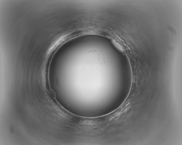 X0000116290341200911301423