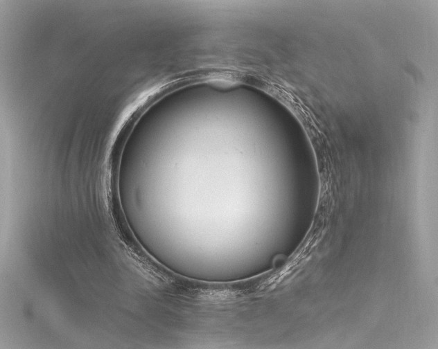 X0000116290342200911301423