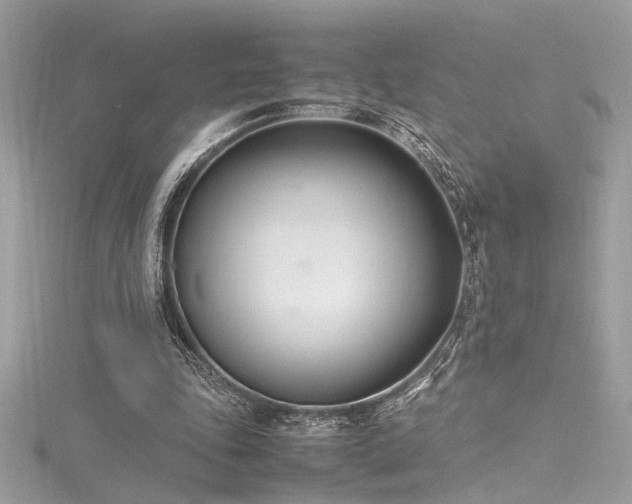 X0000116290343200911301423