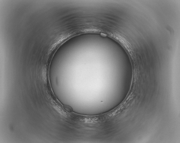 X0000116290345200911301423