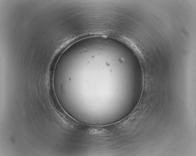 X0000116290346200911301423