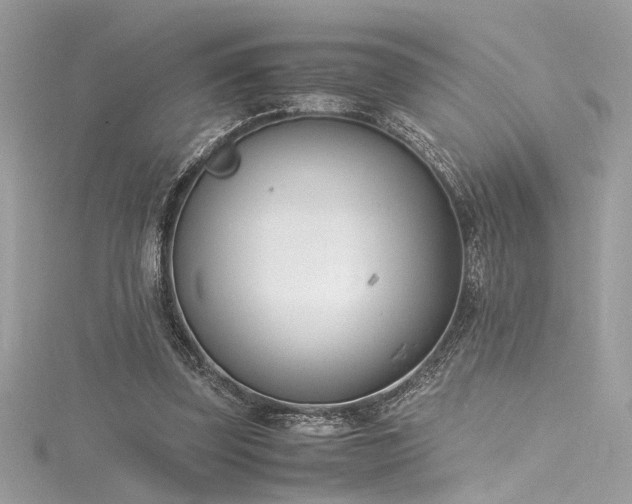 X0000116290347200911301423