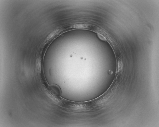 X0000116290349200911301423