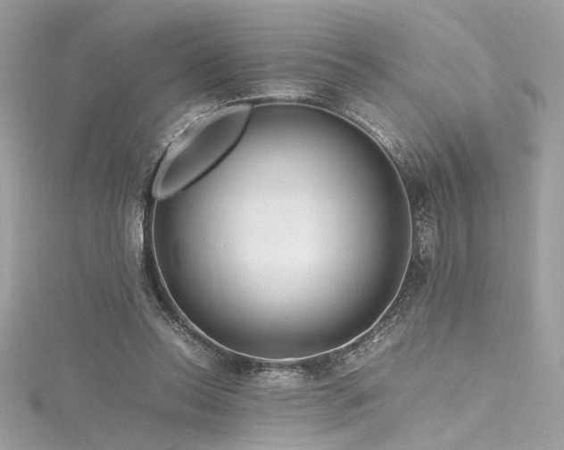 X0000116290350200911301423