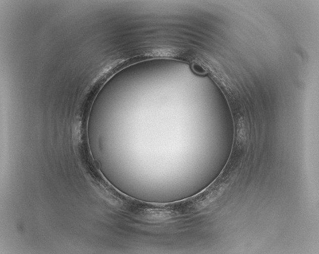 X0000116290351200911301423