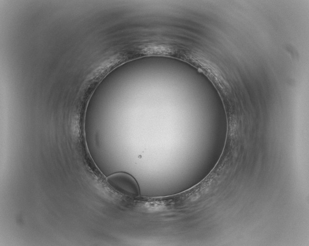 X0000116290353200911301423