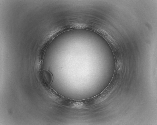 X0000116290355200911301423