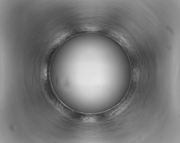 X0000116290358200911301423