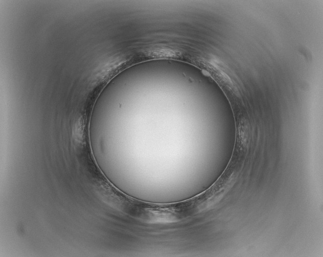 X0000116290359200911301423