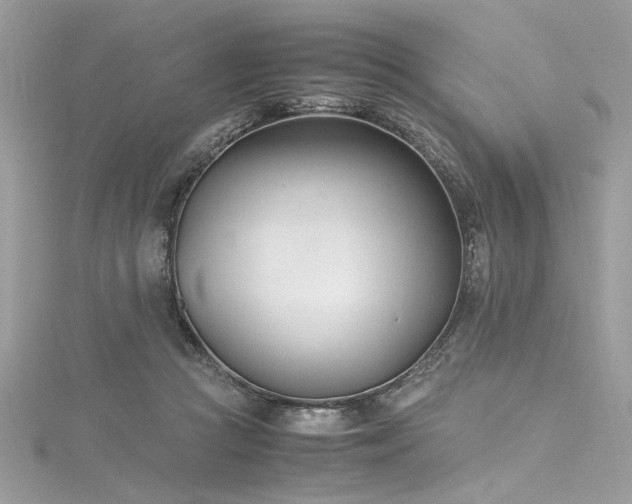 X0000116290361200911301424