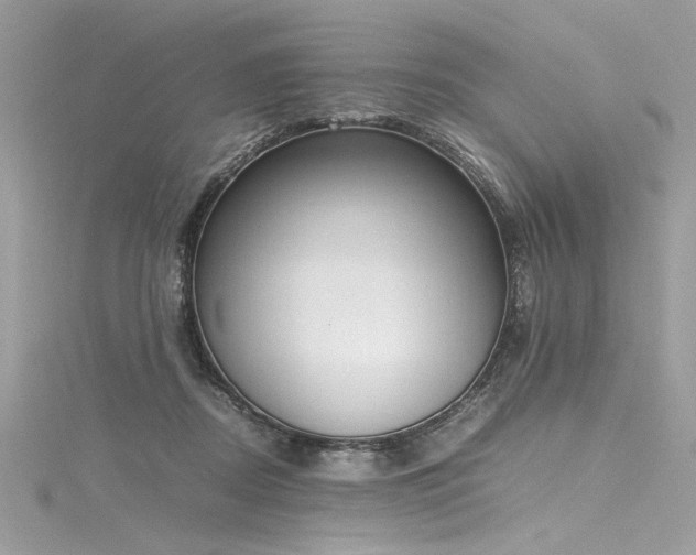 X0000116290362200911301424