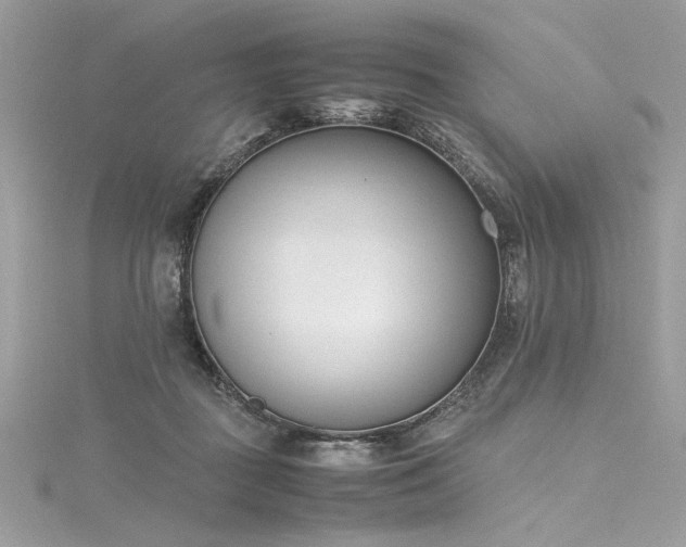 X0000116290363200911301424