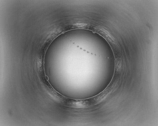 X0000116290365200911301424