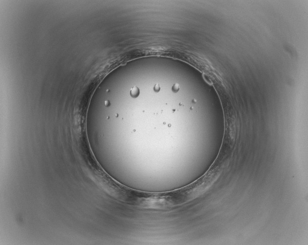 X0000116290366200911301424