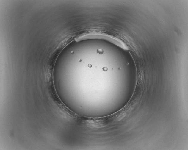 X0000116290367200911301424