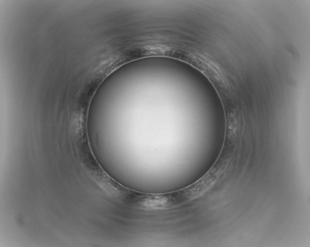 X0000116290369200911301424