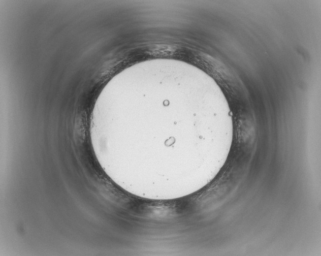 X0000116290370200911301424