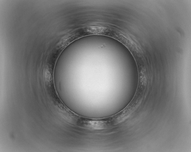 X0000116290371200911301424