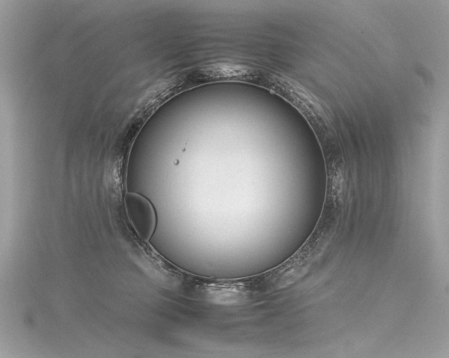 X0000116290373200911301424