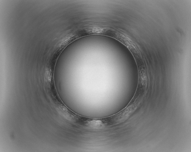 X0000116290374200911301424