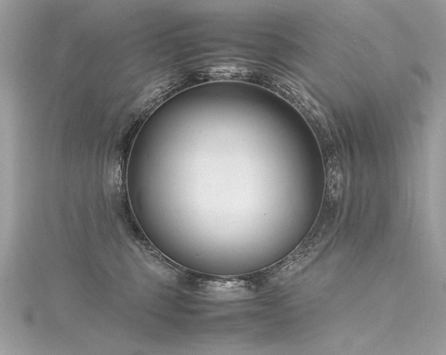 X0000116290375200911301424