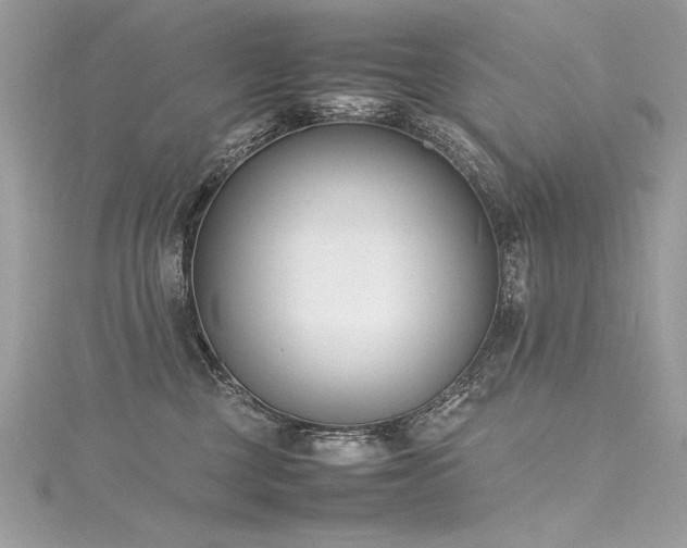 X0000116290377200911301424