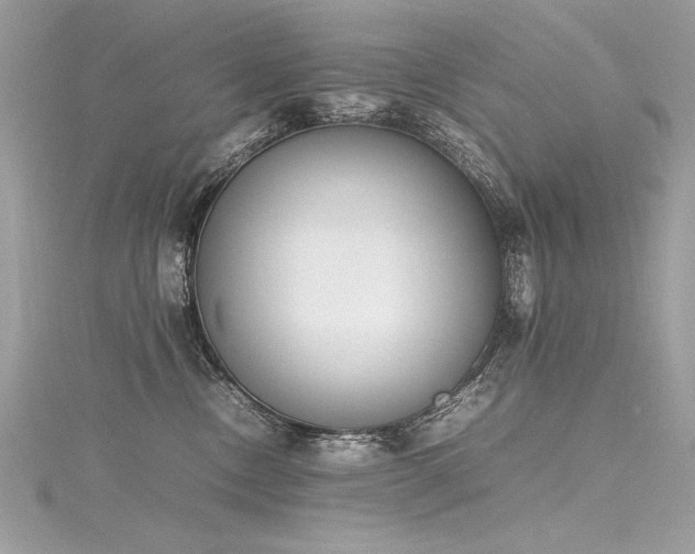 X0000116290378200911301424