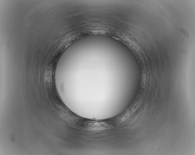 X0000116290379200911301424