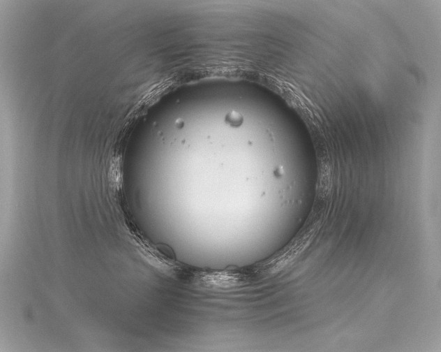 X0000116290383200911301424