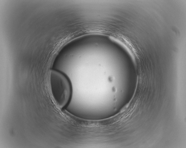 X0000116290385200911301423