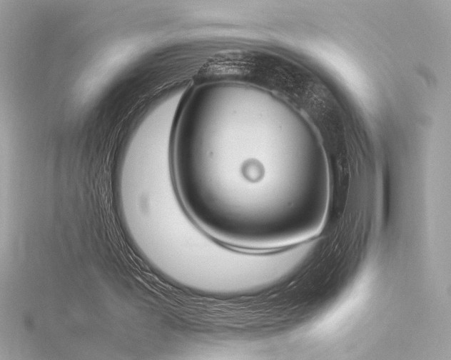 X0000116290387200911301423