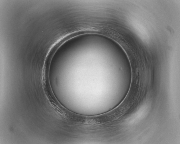 X0000116290388200911301423