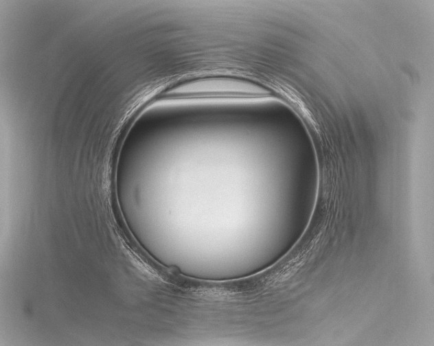 X0000116290389200911301423