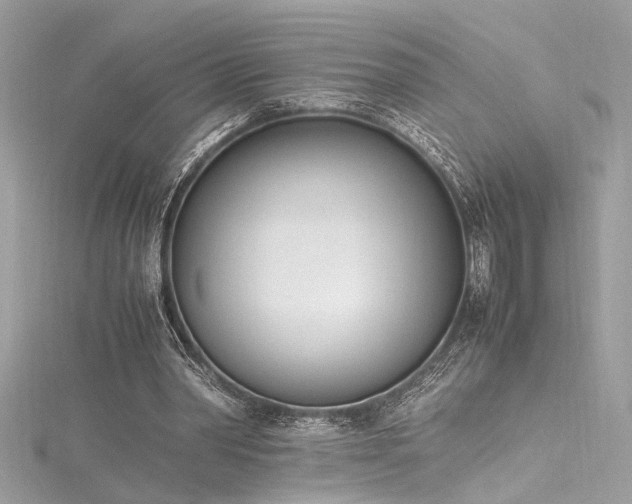 X0000116290390200911301423