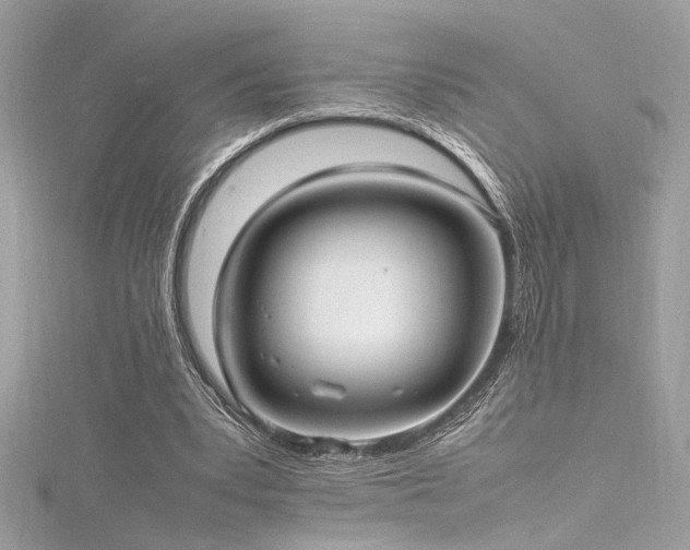 X0000116290391200911301423