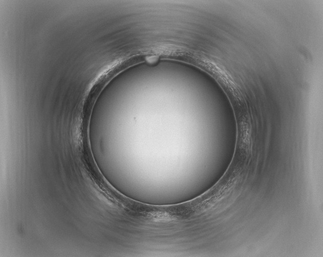 X0000116290392200911301423