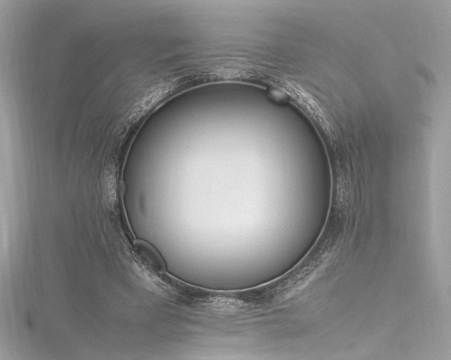 X0000116290393200911301423