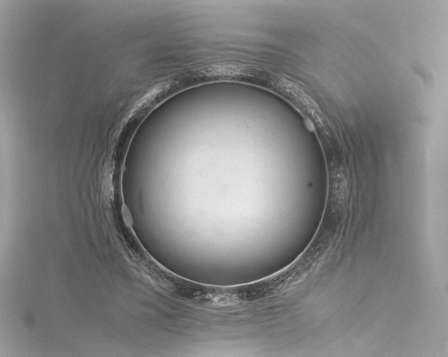 X0000116290395200911301423