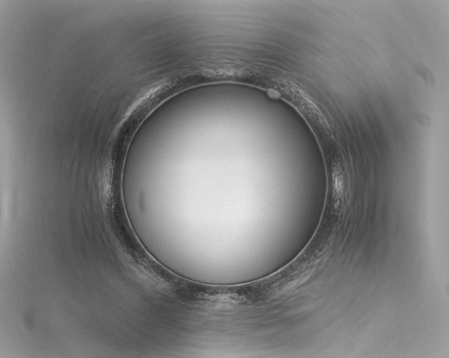 X0000116290396200911301423