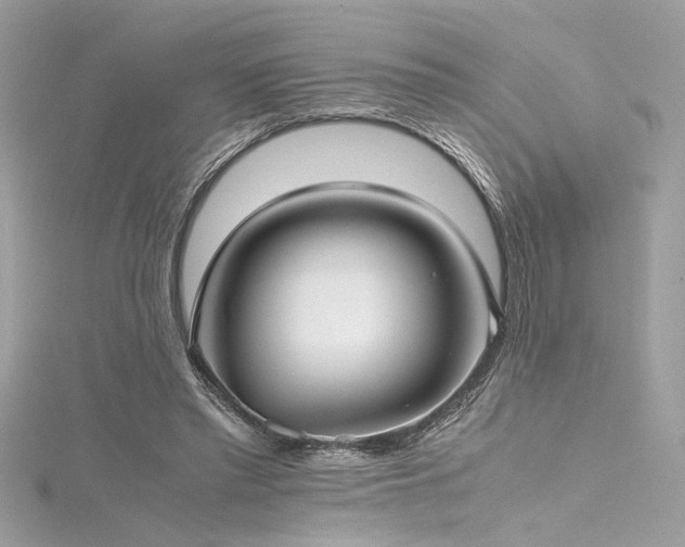 X0000116290397200911301423