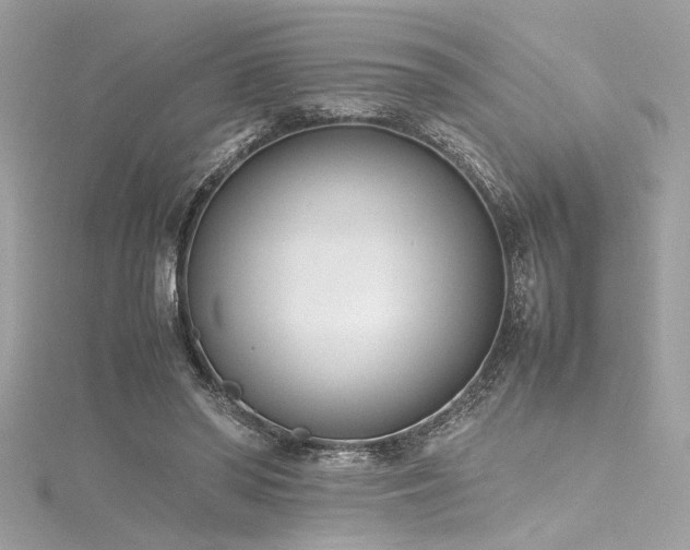 X0000116290398200911301423