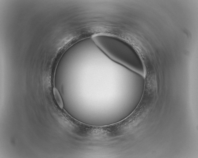 X0000116290399200911301423