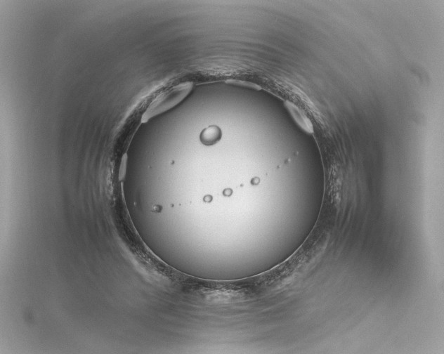 X0000116290400200911301423