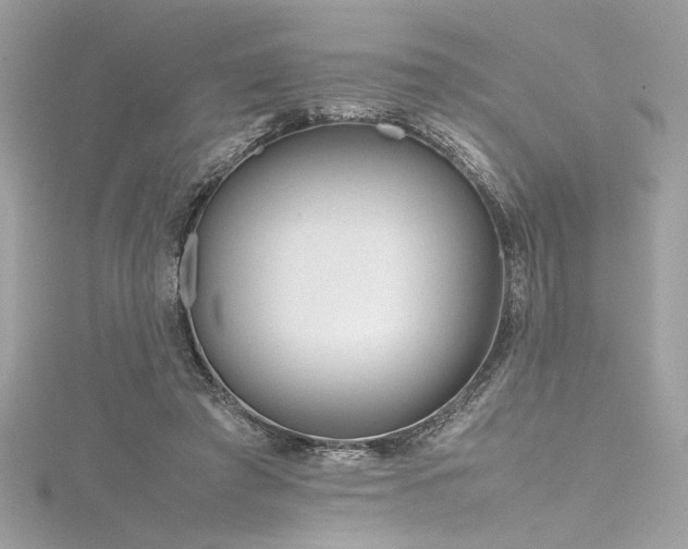 X0000116290401200911301423