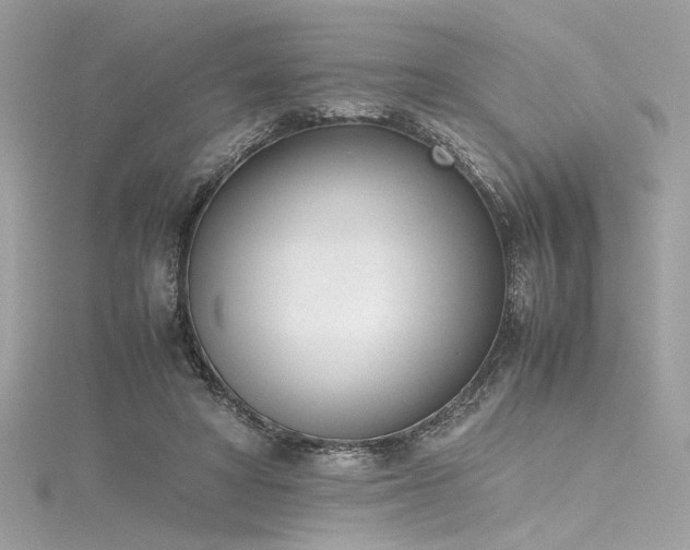 X0000116290402200911301423