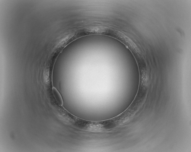 X0000116290403200911301423