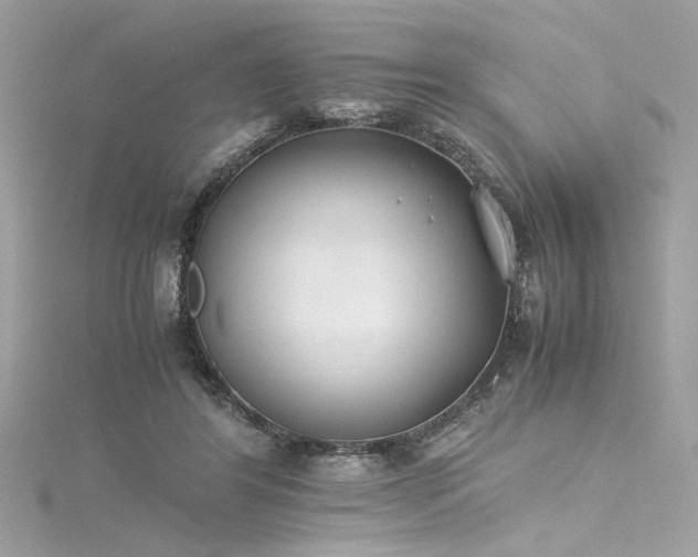 X0000116290404200911301423