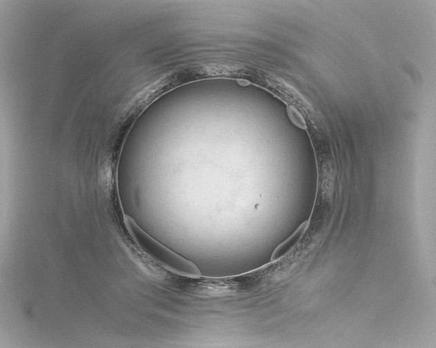 X0000116290405200911301423